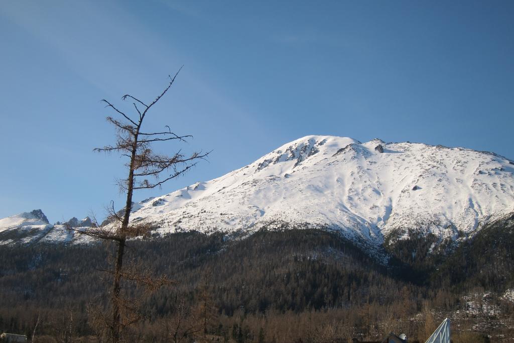Apartman Novy Smokovec 75 Lägenhet Vysoké Tatry Rum bild