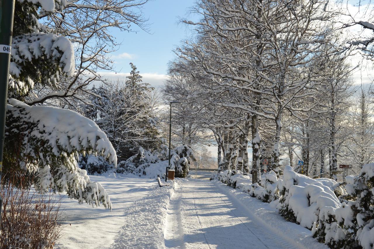 Apartman Novy Smokovec 75 Lägenhet Vysoké Tatry Exteriör bild